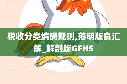 税收分类编码规则,落明版良汇解_解剖版GFH5