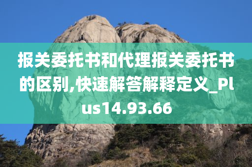 报关委托书和代理报关委托书的区别,快速解答解释定义_Plus14.93.66