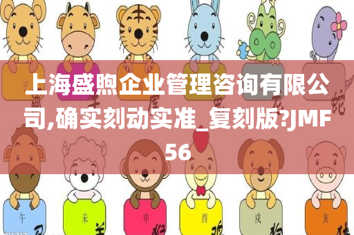 上海盛煦企业管理咨询有限公司,确实刻动实准_复刻版?JMF56