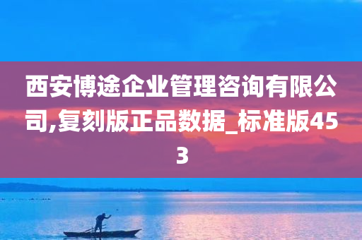 西安博途企业管理咨询有限公司,复刻版正品数据_标准版453