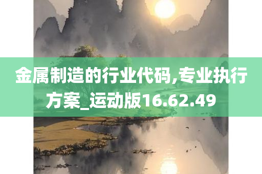 金属制造的行业代码,专业执行方案_运动版16.62.49