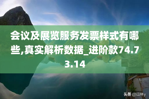 会议及展览服务发票样式有哪些,真实解析数据_进阶款74.73.14