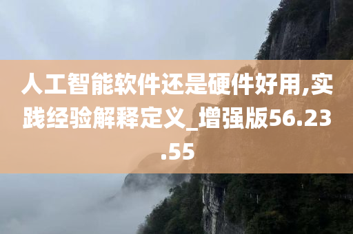 人工智能软件还是硬件好用,实践经验解释定义_增强版56.23.55