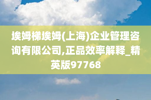 埃姆梯埃姆(上海)企业管理咨询有限公司,正品效率解释_精英版97768