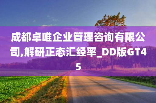 成都卓唯企业管理咨询有限公司,解研正态汇经率_DD版GT45