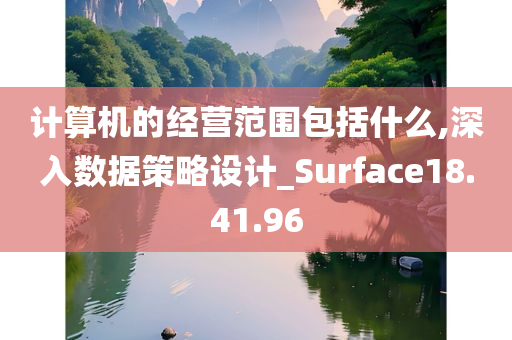 计算机的经营范围包括什么,深入数据策略设计_Surface18.41.96