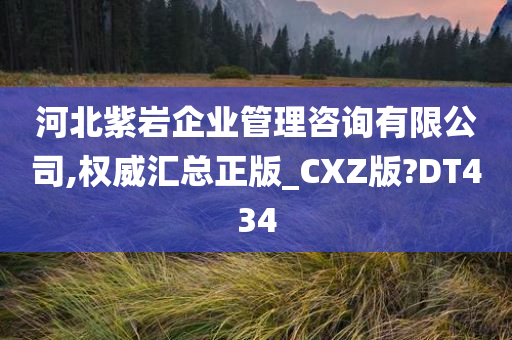 河北紫岩企业管理咨询有限公司,权威汇总正版_CXZ版?DT434