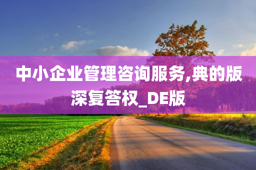 中小企业管理咨询服务,典的版深复答权_DE版