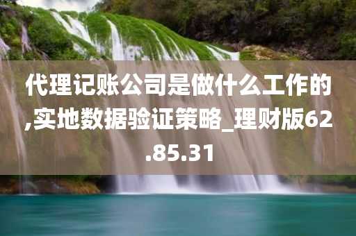 代理记账公司是做什么工作的,实地数据验证策略_理财版62.85.31