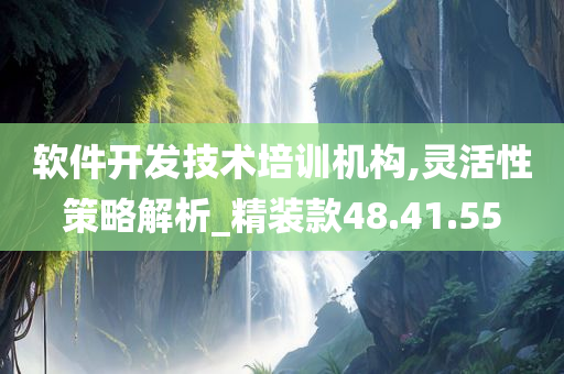 软件开发技术培训机构,灵活性策略解析_精装款48.41.55