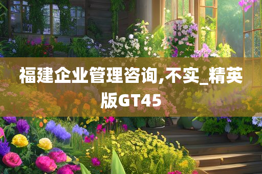 福建企业管理咨询,不实_精英版GT45