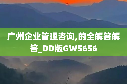 广州企业管理咨询,的全解答解答_DD版GW5656