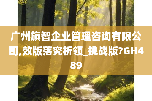 广州旗智企业管理咨询有限公司,效版落究析领_挑战版?GH489