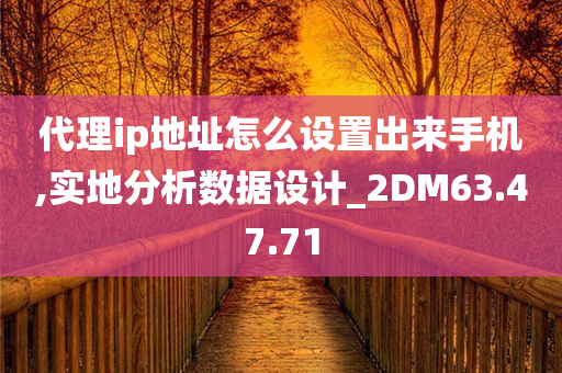 代理ip地址怎么设置出来手机,实地分析数据设计_2DM63.47.71