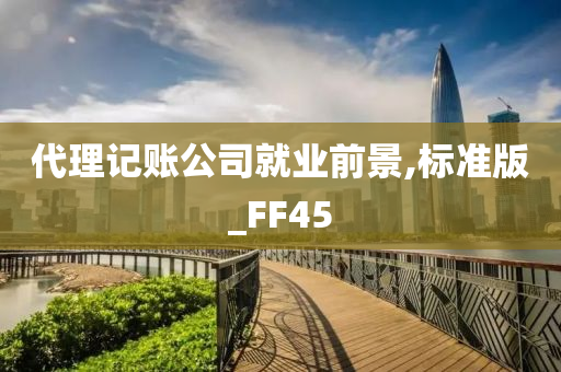 代理记账公司就业前景,标准版_FF45