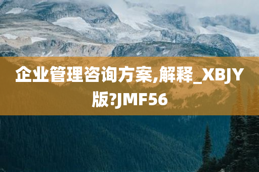 企业管理咨询方案,解释_XBJY版?JMF56