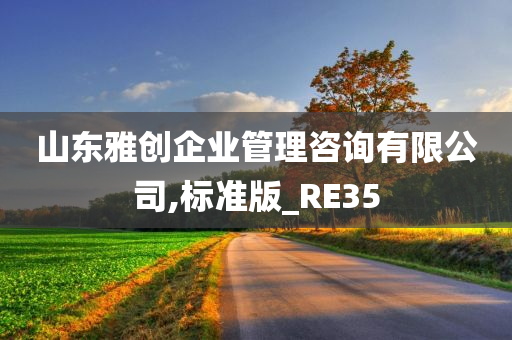 山东雅创企业管理咨询有限公司,标准版_RE35