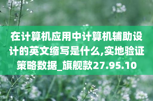 在计算机应用中计算机辅助设计的英文缩写是什么,实地验证策略数据_旗舰款27.95.10