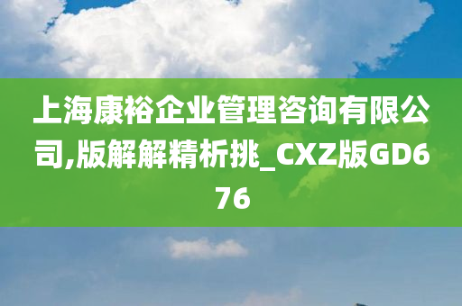 上海康裕企业管理咨询有限公司,版解解精析挑_CXZ版GD676