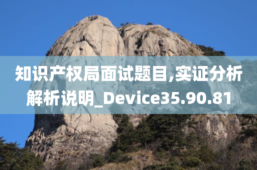 知识产权局面试题目,实证分析解析说明_Device35.90.81