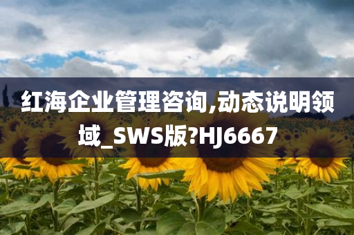 红海企业管理咨询,动态说明领域_SWS版?HJ6667