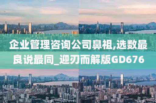 企业管理咨询公司鼻祖,选数最良说最同_迎刃而解版GD676