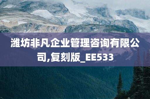 潍坊非凡企业管理咨询有限公司,复刻版_EE533