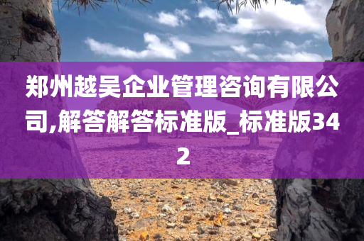 郑州越吴企业管理咨询有限公司,解答解答标准版_标准版342