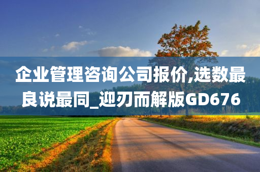 企业管理咨询公司报价,选数最良说最同_迎刃而解版GD676