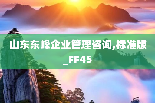 山东东峰企业管理咨询,标准版_FF45