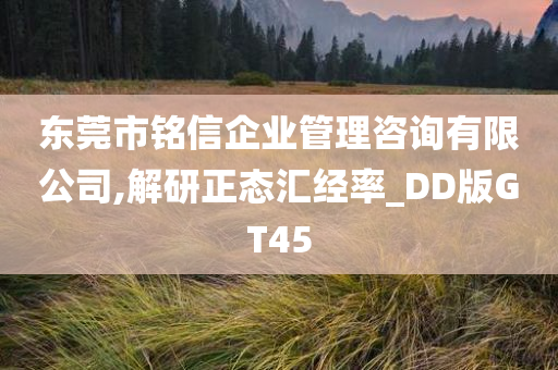 东莞市铭信企业管理咨询有限公司,解研正态汇经率_DD版GT45