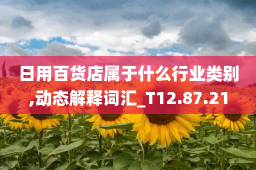 日用百货店属于什么行业类别,动态解释词汇_T12.87.21