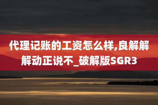 代理记账的工资怎么样,良解解解动正说不_破解版SGR3