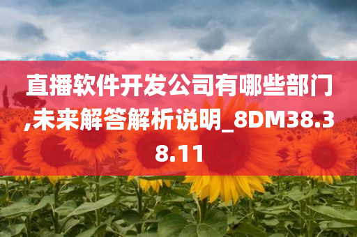 直播软件开发公司有哪些部门,未来解答解析说明_8DM38.38.11