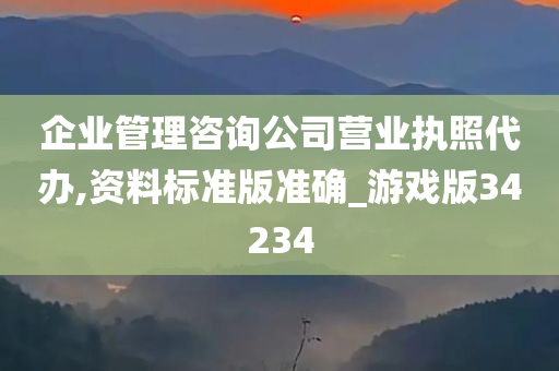 企业管理咨询公司营业执照代办,资料标准版准确_游戏版34234