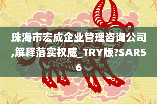 珠海市宏成企业管理咨询公司,解释落实权威_TRY版?SAR56