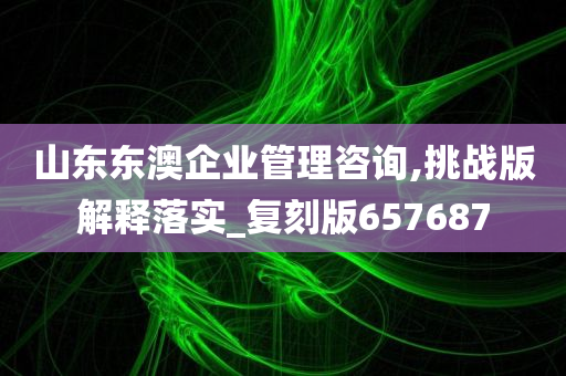 山东东澳企业管理咨询,挑战版解释落实_复刻版657687