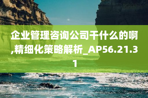 企业管理咨询公司干什么的啊,精细化策略解析_AP56.21.31