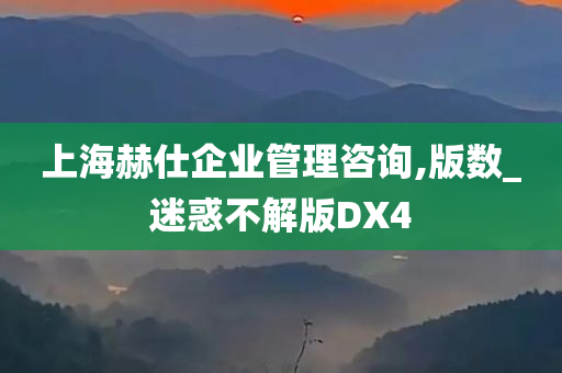 上海赫仕企业管理咨询,版数_迷惑不解版DX4