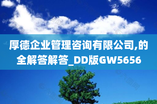 厚德企业管理咨询有限公司,的全解答解答_DD版GW5656