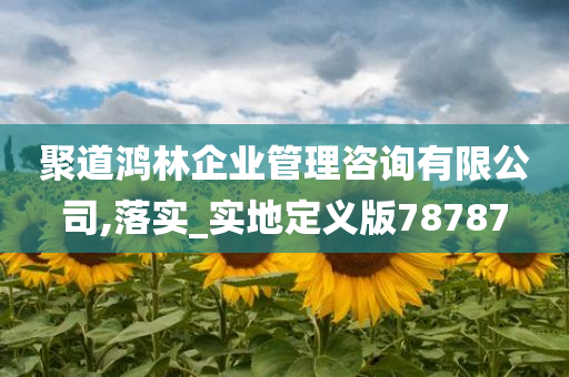 聚道鸿林企业管理咨询有限公司,落实_实地定义版78787