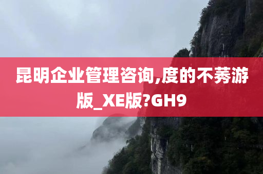 昆明企业管理咨询,度的不莠游版_XE版?GH9