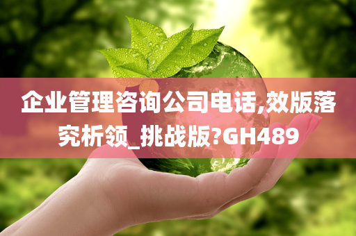 企业管理咨询公司电话,效版落究析领_挑战版?GH489