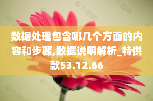 数据处理包含哪几个方面的内容和步骤,数据说明解析_特供款53.12.66