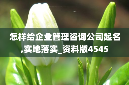 怎样给企业管理咨询公司起名,实地落实_资料版4545