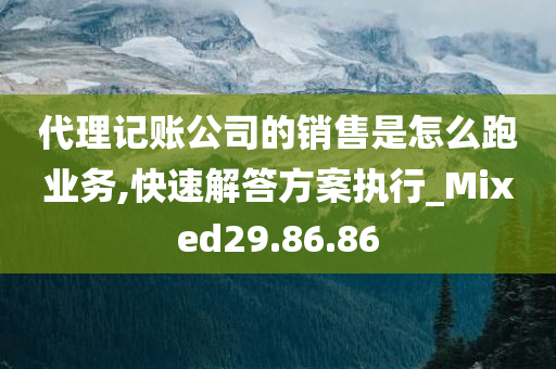 代理记账公司的销售是怎么跑业务,快速解答方案执行_Mixed29.86.86