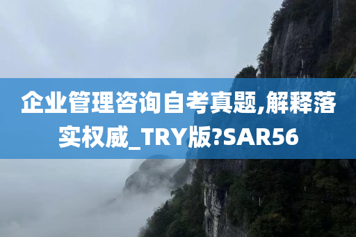 企业管理咨询自考真题,解释落实权威_TRY版?SAR56