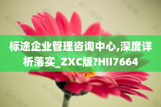 标途企业管理咨询中心,深度详析落实_ZXC版?HII7664