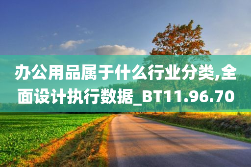 办公用品属于什么行业分类,全面设计执行数据_BT11.96.70