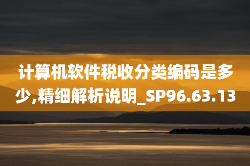 计算机软件税收分类编码是多少,精细解析说明_SP96.63.13